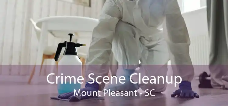 Crime Scene Cleanup Mount Pleasant - SC
