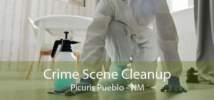 Crime Scene Cleanup Picuris Pueblo - NM
