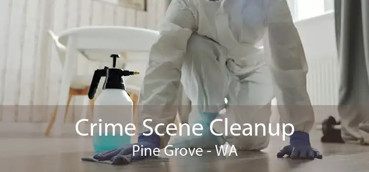 Crime Scene Cleanup Pine Grove - WA