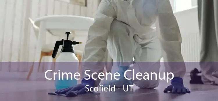 Crime Scene Cleanup Scofield - UT