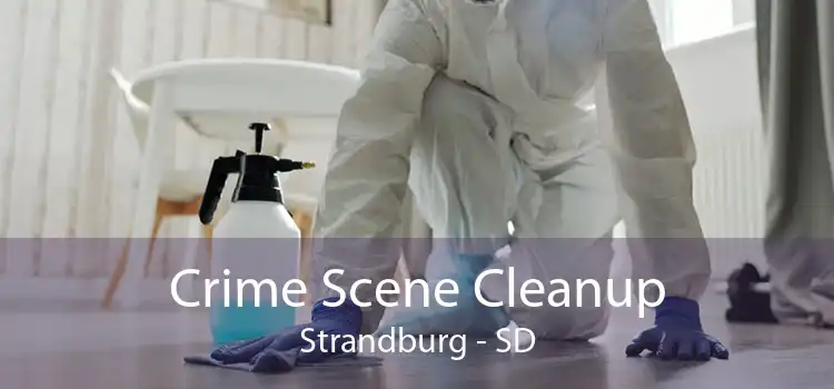 Crime Scene Cleanup Strandburg - SD