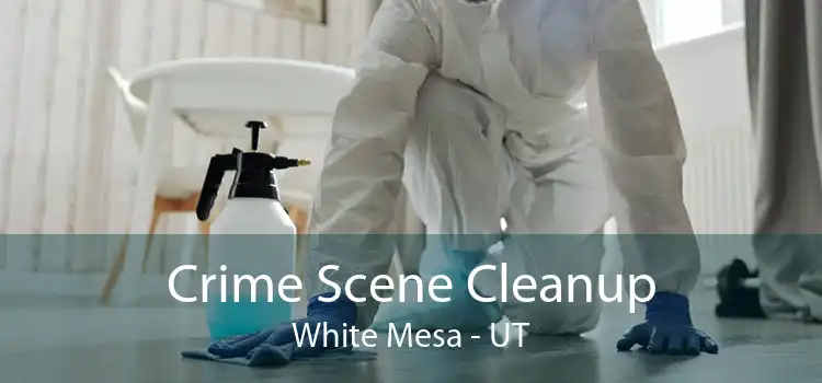 Crime Scene Cleanup White Mesa - UT