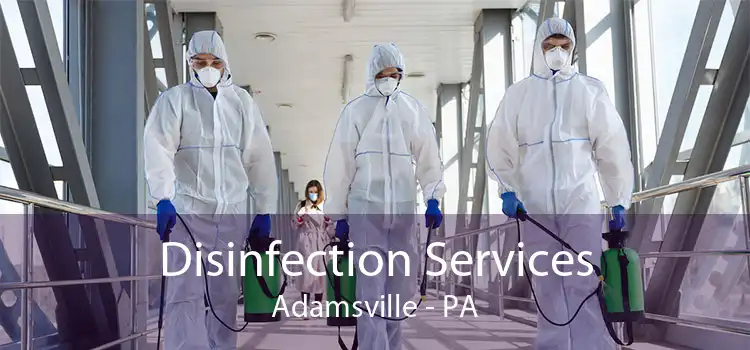 Disinfection Services Adamsville - PA