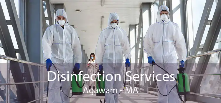 Disinfection Services Agawam - MA