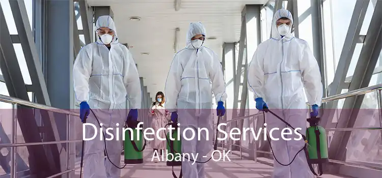 Disinfection Services Albany - OK