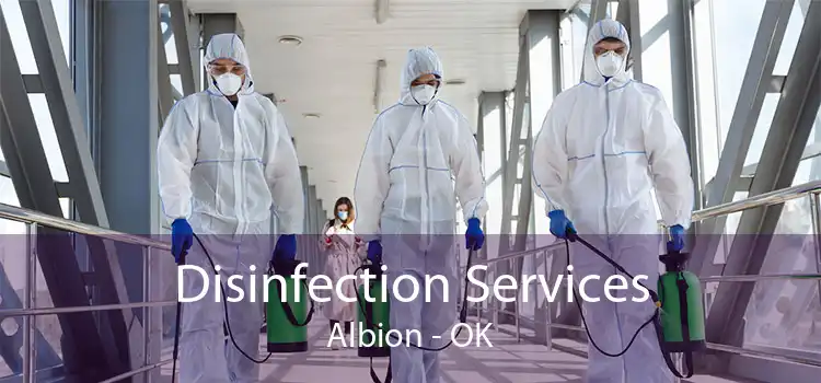 Disinfection Services Albion - OK