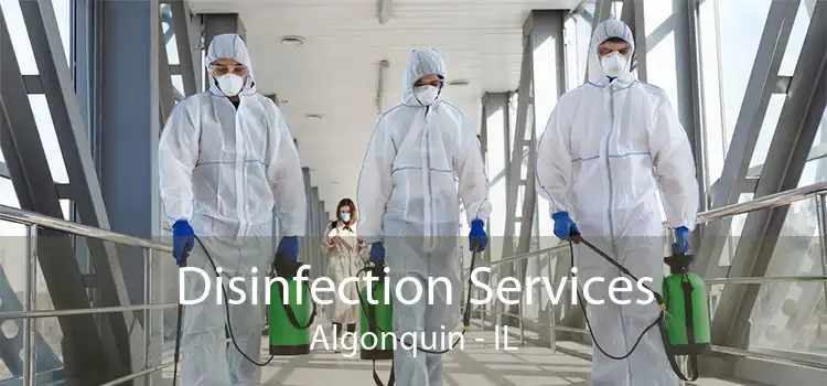 Disinfection Services Algonquin - IL