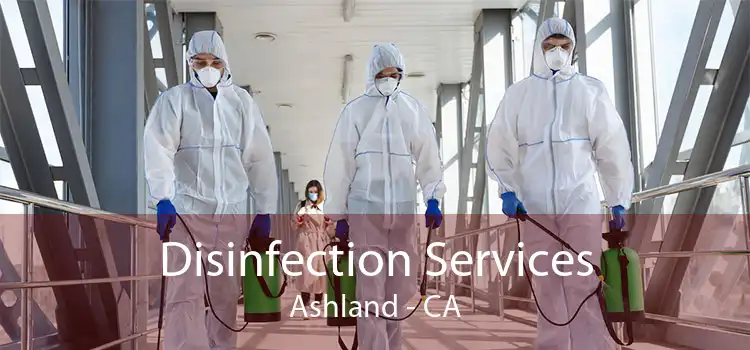 Disinfection Services Ashland - CA