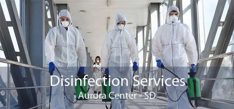 Disinfection Services Aurora Center - SD