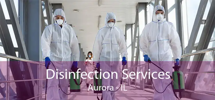 Disinfection Services Aurora - IL
