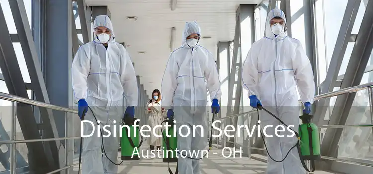Disinfection Services Austintown - OH