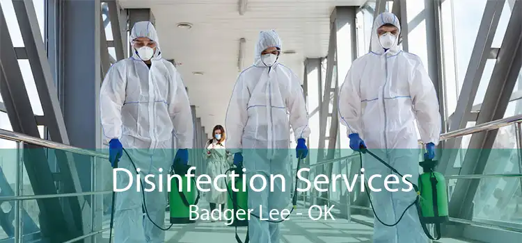 Disinfection Services Badger Lee - OK