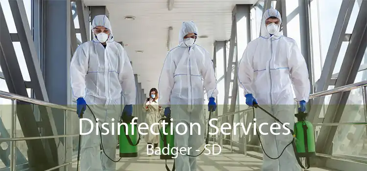 Disinfection Services Badger - SD