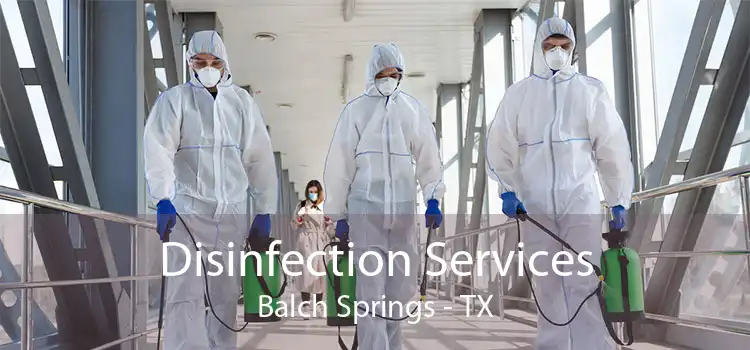 Disinfection Services Balch Springs - TX