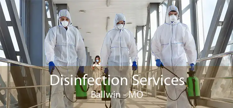 Disinfection Services Ballwin - MO