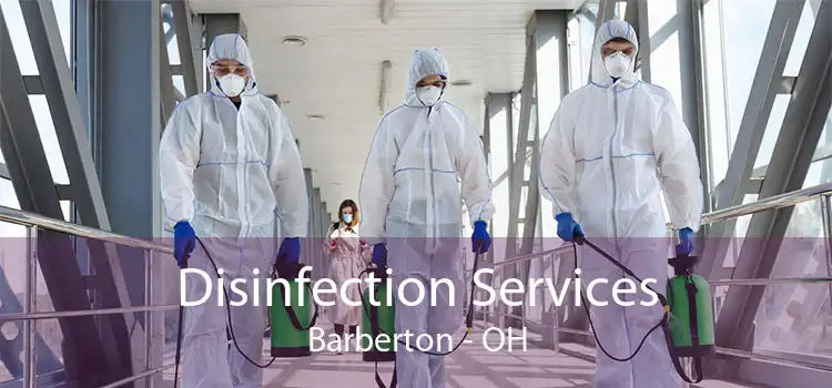 Disinfection Services Barberton - OH