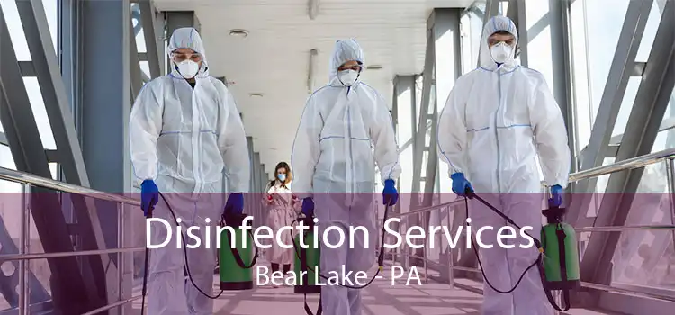 Disinfection Services Bear Lake - PA