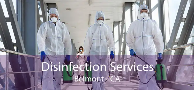 Disinfection Services Belmont - CA