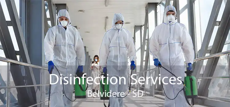 Disinfection Services Belvidere - SD
