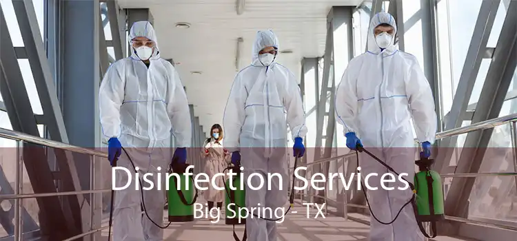 Disinfection Services Big Spring - TX