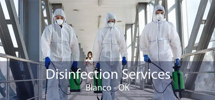 Disinfection Services Blanco - OK