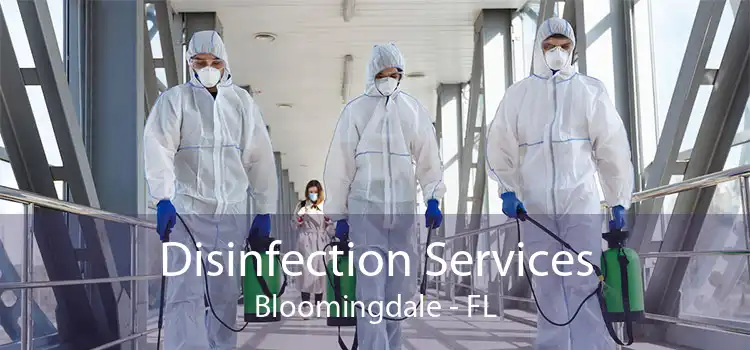 Disinfection Services Bloomingdale - FL
