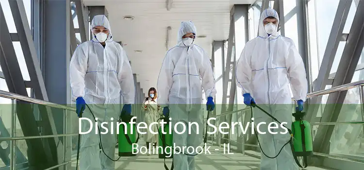 Disinfection Services Bolingbrook - IL