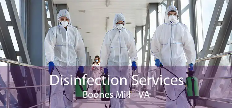 Disinfection Services Boones Mill - VA