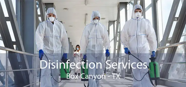 Disinfection Services Box Canyon - TX
