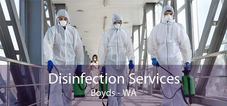 Disinfection Services Boyds - WA
