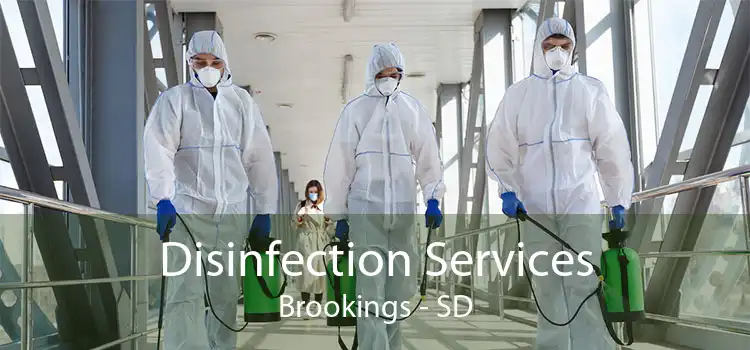 Disinfection Services Brookings - SD