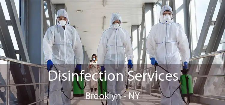  Disinfection Services Brooklyn - NY