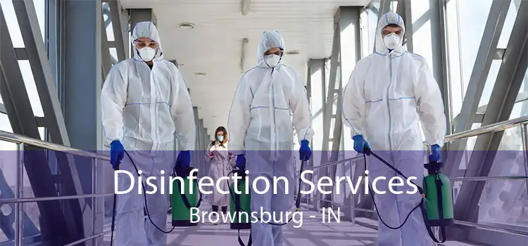 Disinfection Services Brownsburg - IN