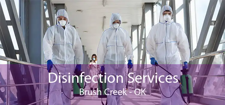 Disinfection Services Brush Creek - OK
