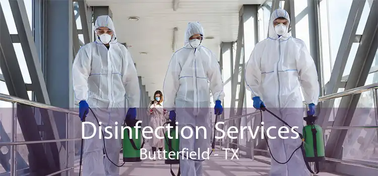 Disinfection Services Butterfield - TX