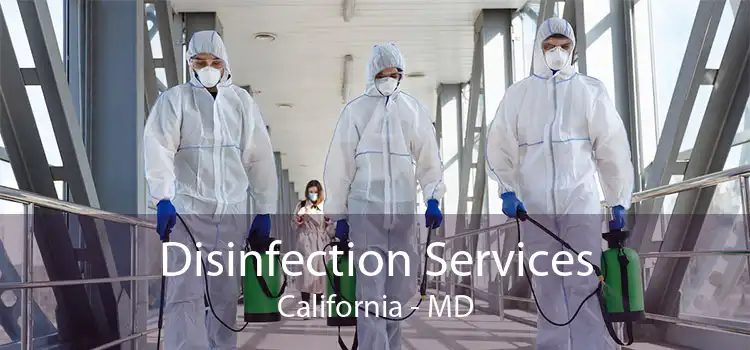 Disinfection Services California - MD
