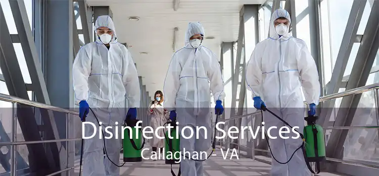 Disinfection Services Callaghan - VA