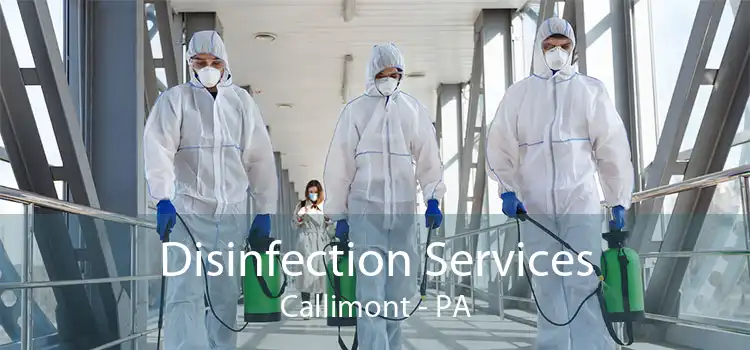 Disinfection Services Callimont - PA