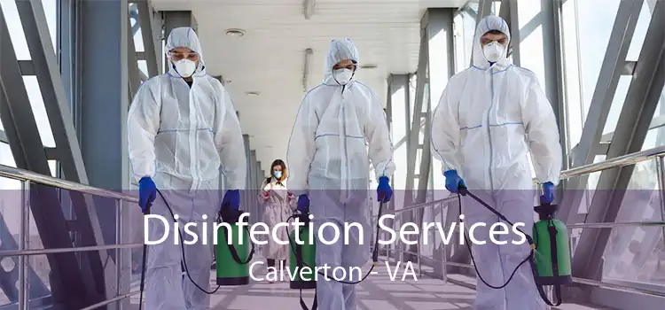 Disinfection Services Calverton - VA