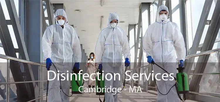 Disinfection Services Cambridge - MA