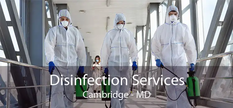 Disinfection Services Cambridge - MD
