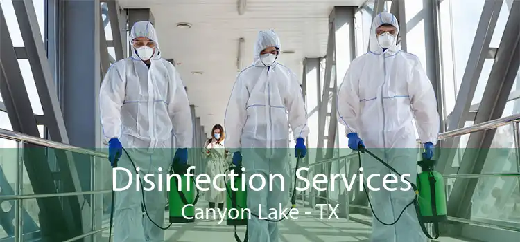 Disinfection Services Canyon Lake - TX