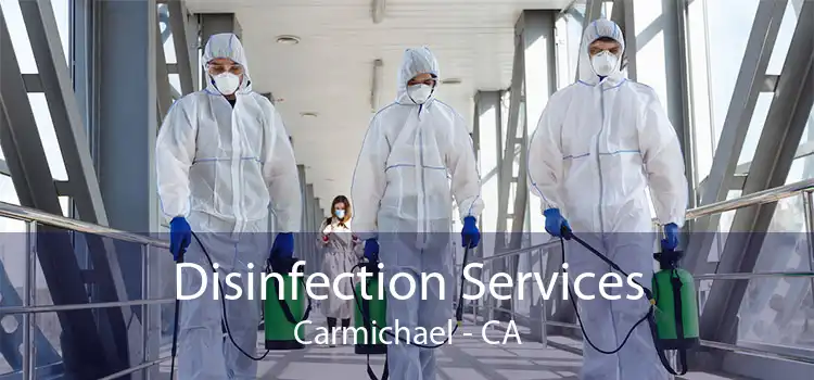Disinfection Services Carmichael - CA