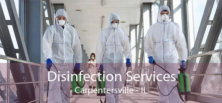 Disinfection Services Carpentersville - IL