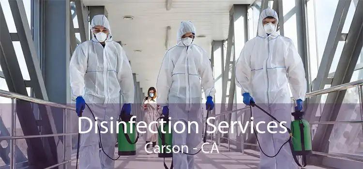 Disinfection Services Carson - CA