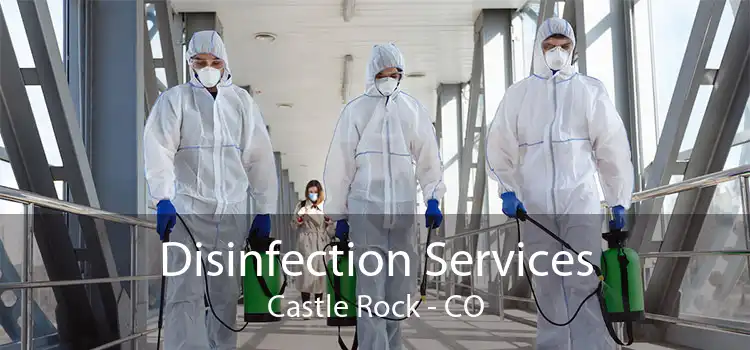 Disinfection Services Castle Rock - CO