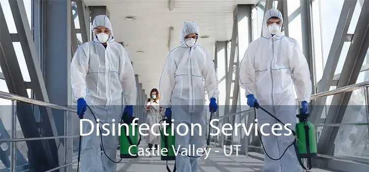 Disinfection Services Castle Valley - UT