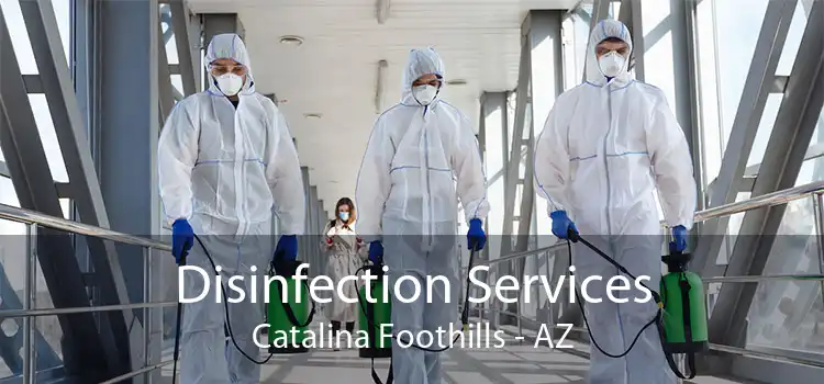 Disinfection Services Catalina Foothills - AZ