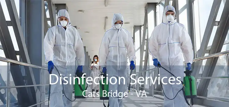 Disinfection Services Cats Bridge - VA
