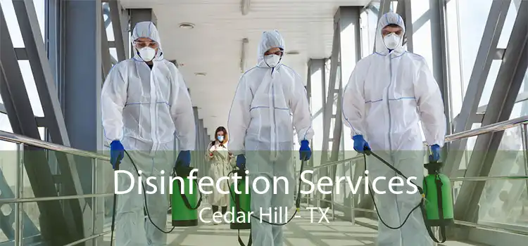 Disinfection Services Cedar Hill - TX